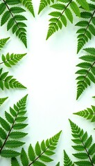 Delicate ferns scattered on a pristine white background, trees, green
