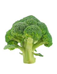 Fresh Broccoli Floret