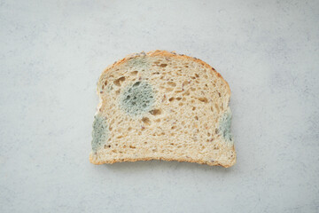 Moldy bread slice resting on a light surface showing decay