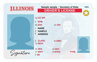 Illinois driver's license with female silhouette isolated on white background. Person driver license.
