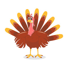 Thanksgiving Turkey Cartoon Character on White Background. Vector Illustration.