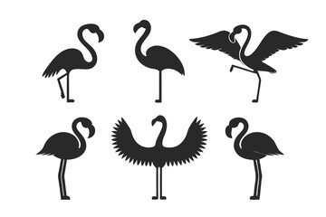 set of Flamingo silhouette vector illustration