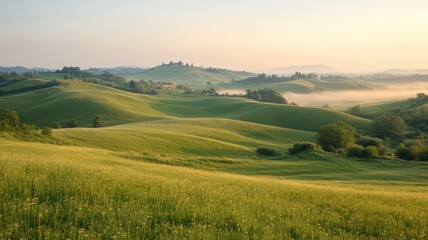 Obraz premium Sunrise Over Rolling Green Hills and Misty Valley