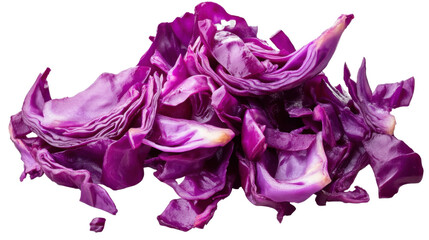 Obraz premium purple cabbage isolated on white