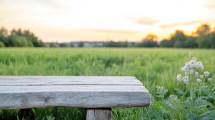 Fototapeta premium Rustic wooden bench atop a grassy field at sunset