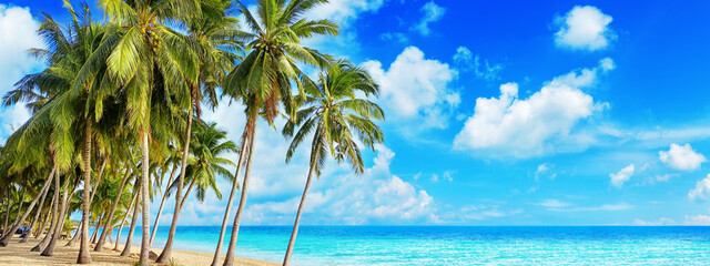 Tropical beach, sea landscape, exotic ocean island, green coconut palm tree leaves, hot sunny day, blue sky clouds, yellow sand, summer holiday, vacation, travel, Thailand, Caribbean, Maldives, Hawaii