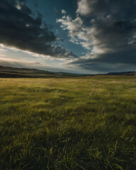 A freshly mowed, lush green lawn with sharp edges and neat appearance.
