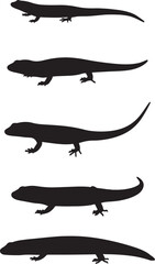Fire Skink Silhouette - Exotic Reptile Illustration