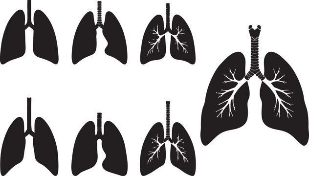 Lung Silhouettes - Human Respiratory System Illustration