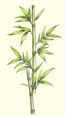 Fototapeta premium Green Bamboo Stalks and Leaves Botanical Illustration Elegant Natural Design Decorative Plant Image