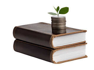 An Investing in knowledge is essential for growth, as depicted by stack of books topped with coins and small plant, symbolizing financial literacy and personal development