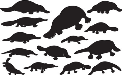 Platypus Silhouette on White Background - Unique Australian Mammal
