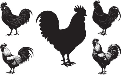 rooster silhouette 