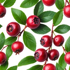 Seamless Pattern of Red Berries and Green Leaves