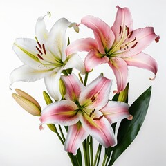 Elegant Bouquet of Pink and White Lilies