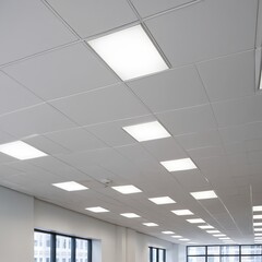 Obraz premium Modern Office Ceiling with Recessed Lighting
