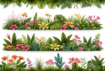 Tropical Flower Borders, Lush Green Foliage, Floral Design Elements