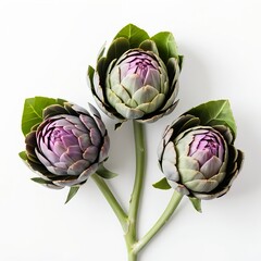 Obraz premium Three Artichoke Buds on White Background