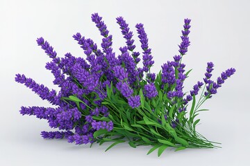 Fototapeta premium Lavender Bouquet, Purple Flowers on White Background