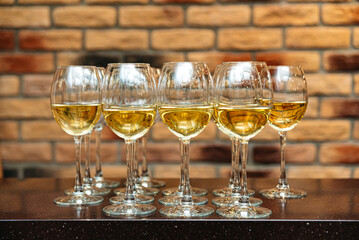 Glasses of white wine arranged on bar counter.