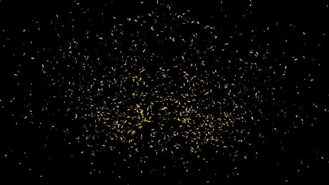 4 types of golden confetti on transparent background. Alpha channel included.