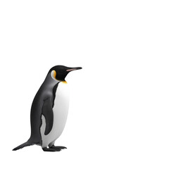Fototapeta premium A penguin stands on a white background