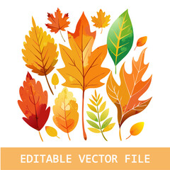 Obraz premium A fall leaves clipart, Thanksgiving element, handdrawn illustration