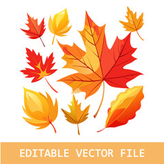 Watercolor autumn leaves and floral elements for design.