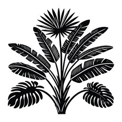 bird of paradise single green leaf plant illustration.
