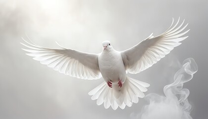 Fototapeta premium White Dove in Flight