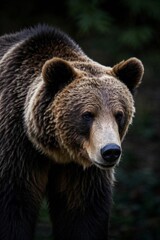 Fototapeta premium there is a brown bear that is walking in the woods