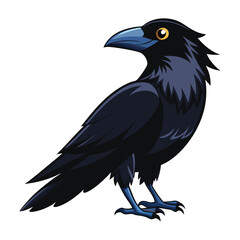 Fototapeta premium crow on a white background