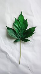 Green maple leaf on white crumpled fabric