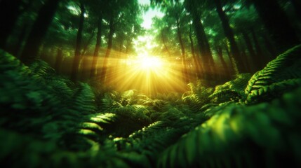 Sunbeams Illuminating a Lush Forest
