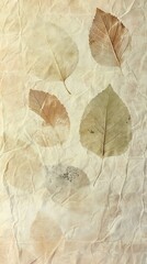 Pressed autumn leaves on textured paper