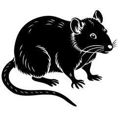 vector illustration of a squirrel