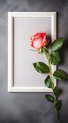 Elegant Single Pink Rose Beside White Frame on Gray Background Romantic Floral Photography