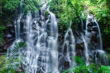 waterfall in the jungle