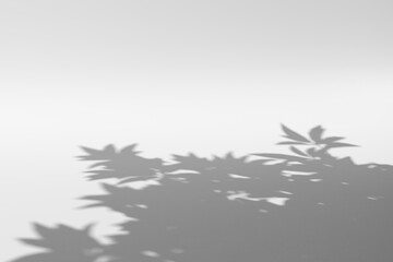 Shadow of a plant on a white wall, suitable for naturethemed backgrounds, minimalist designs, or concept of light and shadow.