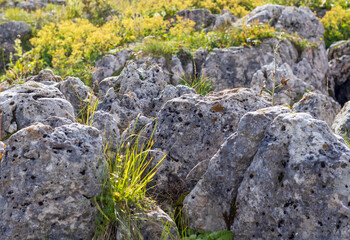 a trail on a rocky mountain plateau located on the path of a tourist route with an overview of the area