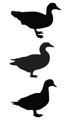 Obraz premium Black color duck silhouette vector illustration on a white background design. 