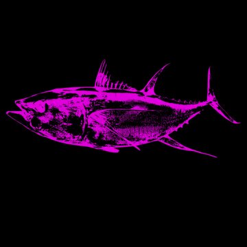A digital illustration of a tuna fish with a vibrant pink hue on a black background. This image is part of a series that changes colors every 6 seconds, creating a dynamic visual experience.