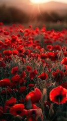 Obraz premium The gentle rustling of the poppies adds a soothing rhythm to the tranquil scene.