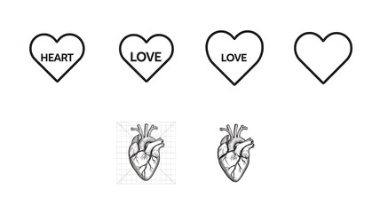 Heart-themed vector graphics featuring a stylized heart shape with the word HEART and LOVE and a detailed anatomical heart illustration