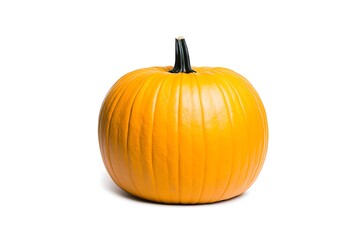 Obraz premium Orange Pumpkin Studio Shot.