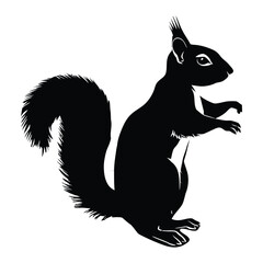 Fototapeta premium Squirrel Silhouette, Vector, Icon, Logo, White Background.