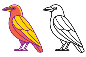 Colorful Bird Illustration and Line Art Drawing of a Crow or Raven