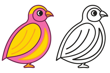 Cute Cartoon Quail Bird Illustration Colorful and Outlined Version for Kids Coloring Book