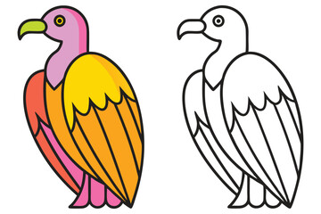 Colorful and Line Art Illustrations of a Vulture Bird for Coloring Pages and Educational Material