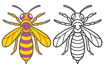 Obraz premium A Colorful Bee and Its Outline for Coloring A Fun Insect Illustration for Kids Learning Activities